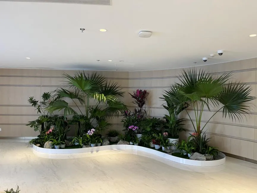 海曙花卉租赁服务好